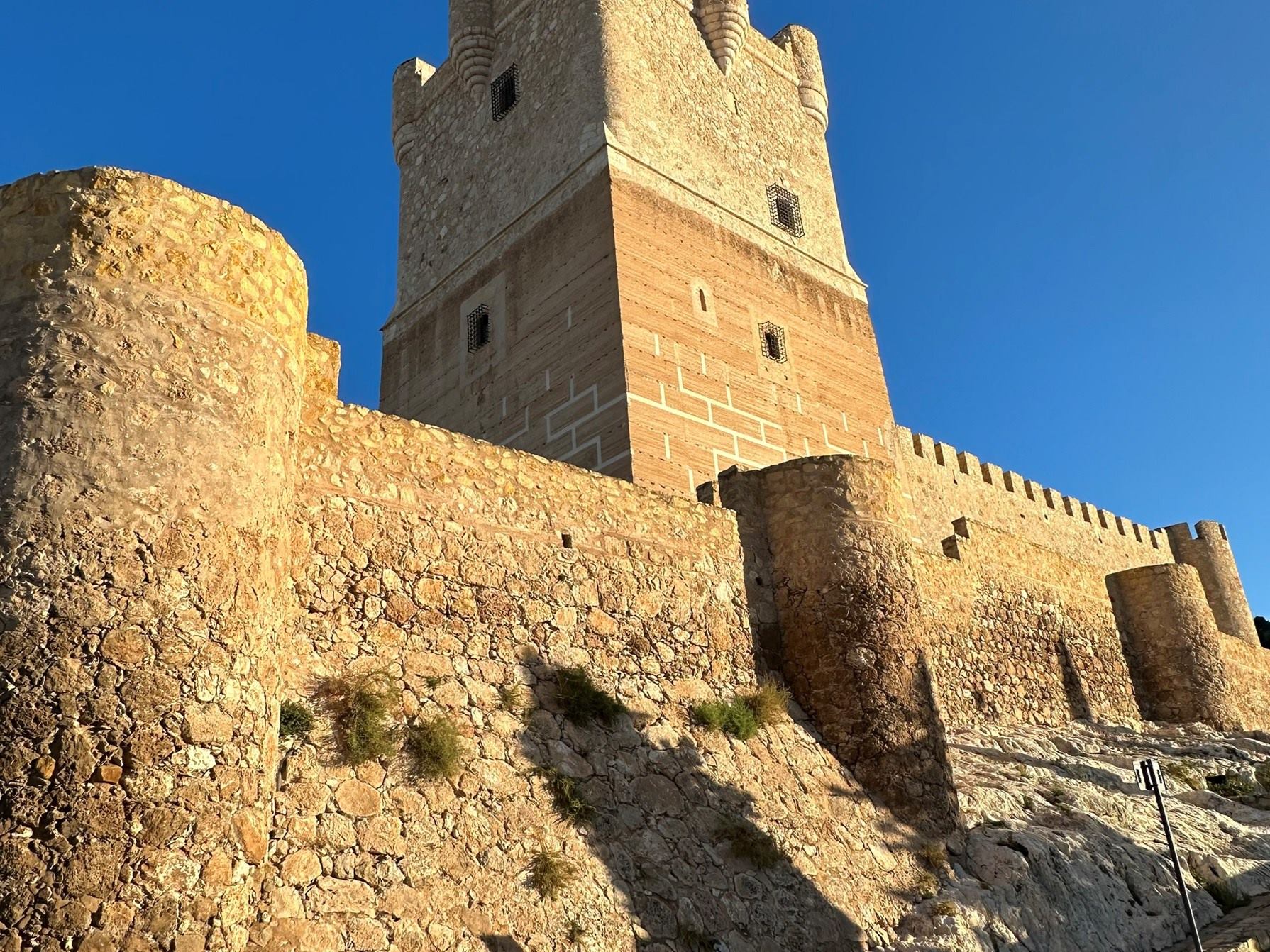 Image alt